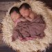 nama bayi kembar