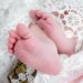 foto bayi baru lahir